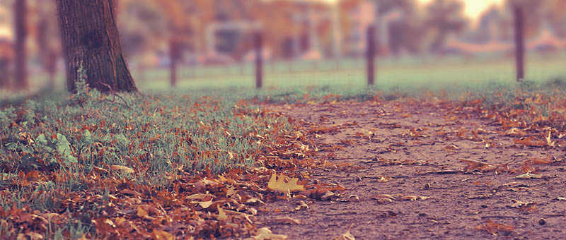谁有渠道推荐的在线呼死你轰炸